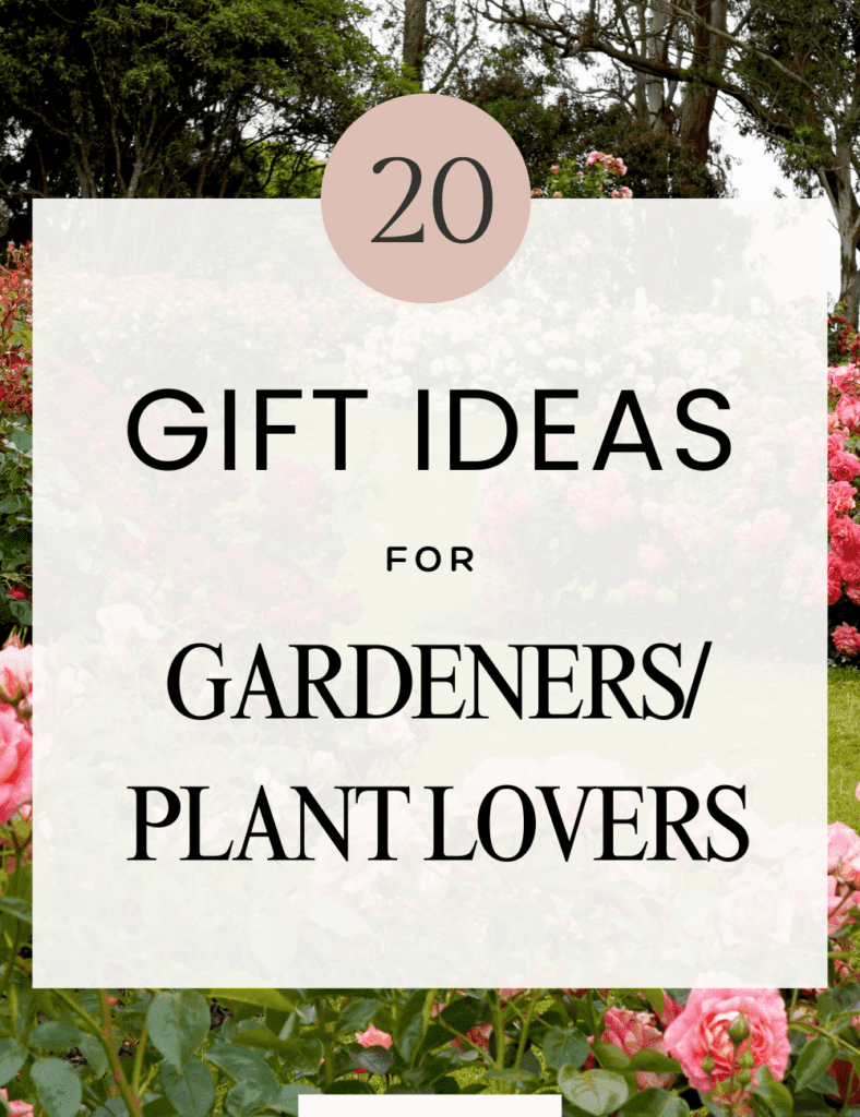 Best Gifts for Gardeners: 20 Thoughtful and Practical Ideas