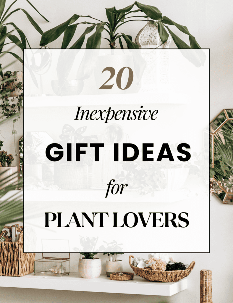 20 Inexpensive Gifts for Plant Lovers: Thoughtful and Affordable